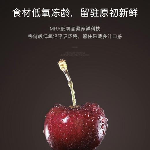 卡萨帝（Casarte）冰箱BCD-386WLCMDM4VAU1 商品图5