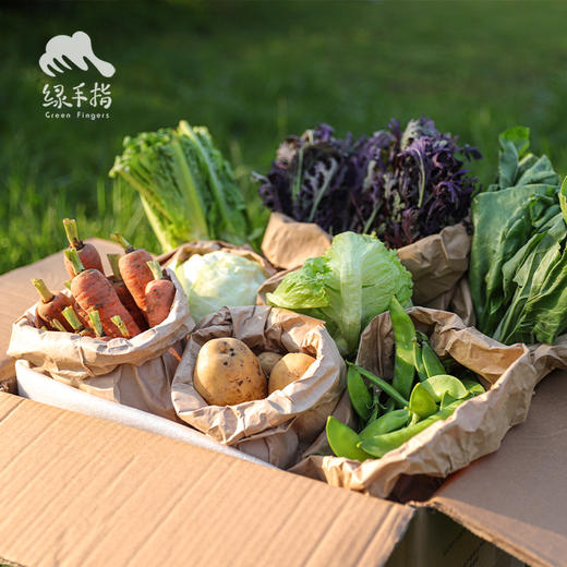 生态蔬菜箱（四川）  | 合作生产* Ecological vegetable box | Coproduction 商品图6