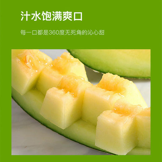 网纹瓜，国产 商品图2