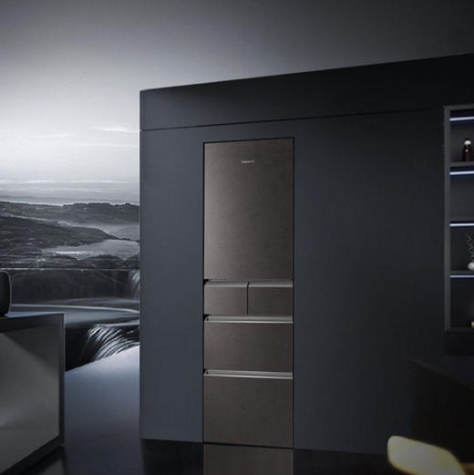 卡萨帝（Casarte）冰箱BCD-386WLCMDM4VAU1 商品图2