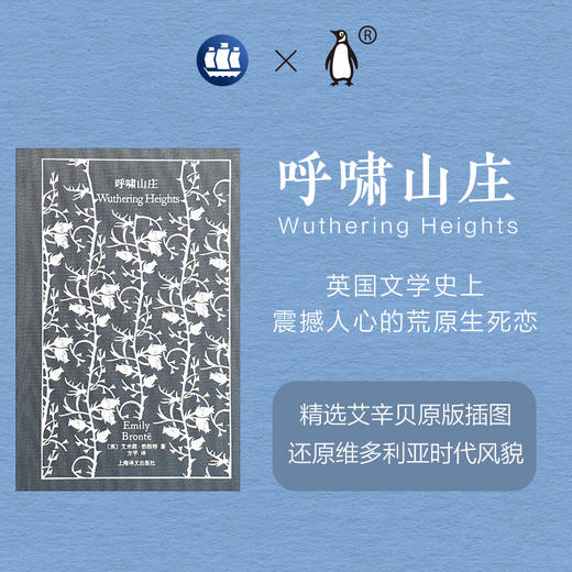 呼啸山庄 艾米莉 勃朗特 著 经典名著 长篇小说 爱情 商品图0