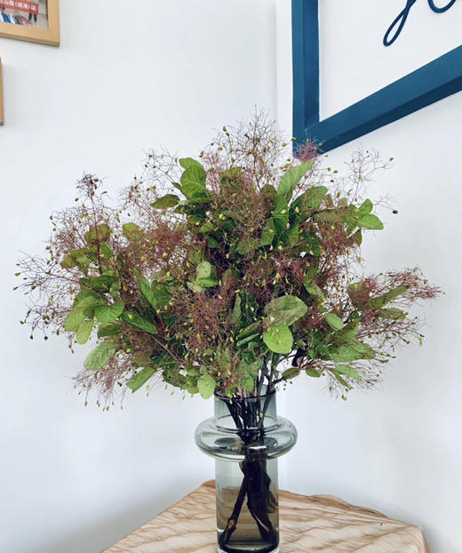 【妳是我的】雾中情人 粉色 若干枝/扎 商品图10