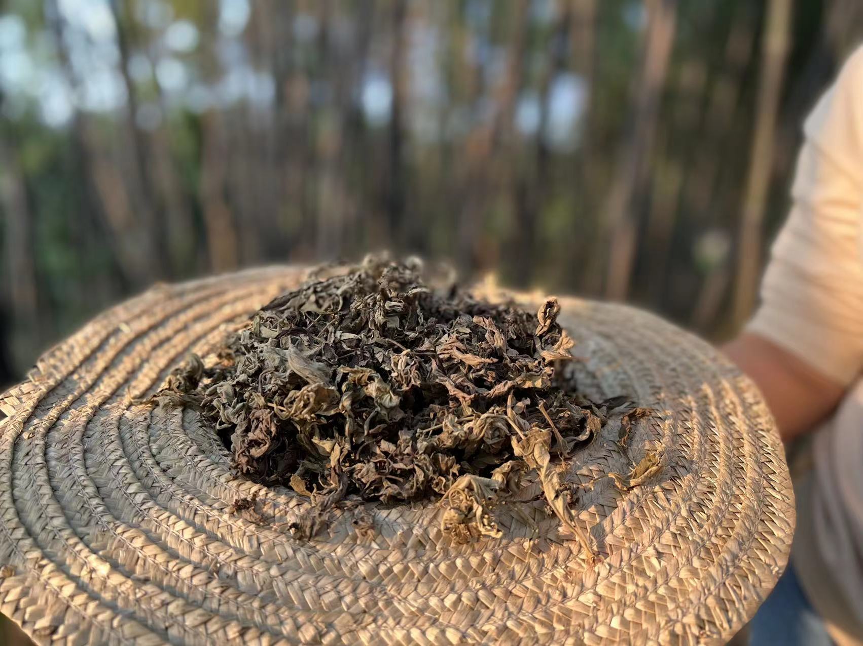 艾年康陈蕲艾叶500g