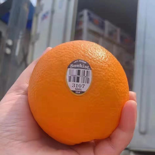 新奇士3107甜橙 很好吃的橙子。 商品图12