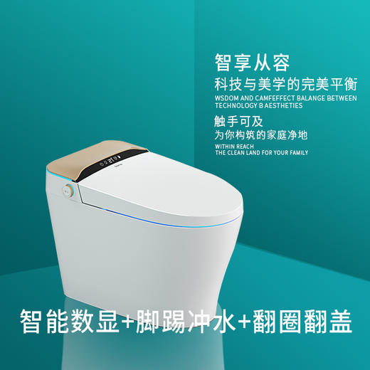 【德国莱恩 】智能马桶 智能数显+脚踢冲水+翻圈翻盖A51-612 商品图1