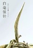 现货！翠美2025明前特/大【白毫银针】，云南的古树白茶，果然非同凡响！！ 商品缩略图6
