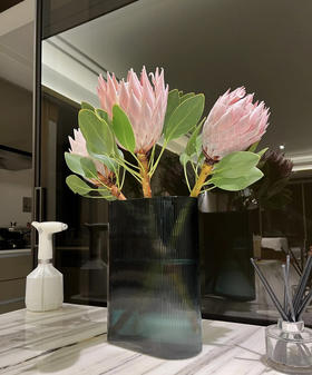 粉帝王 （希娜 ）粉色 单枝