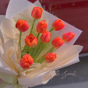 春野之歌  郁金香洋甘菊 · 花束