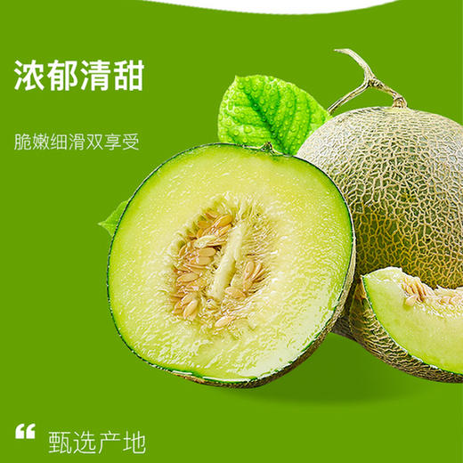 网纹瓜，国产 商品图1