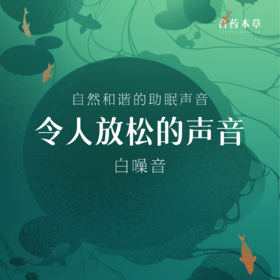 音药本草·白噪音 音乐U盘 | 令人放松的声音
