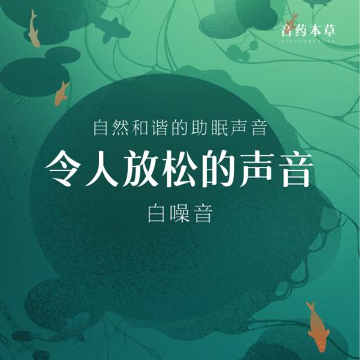 音药本草·白噪音 音乐U盘 | 令人放松的声音 商品图0