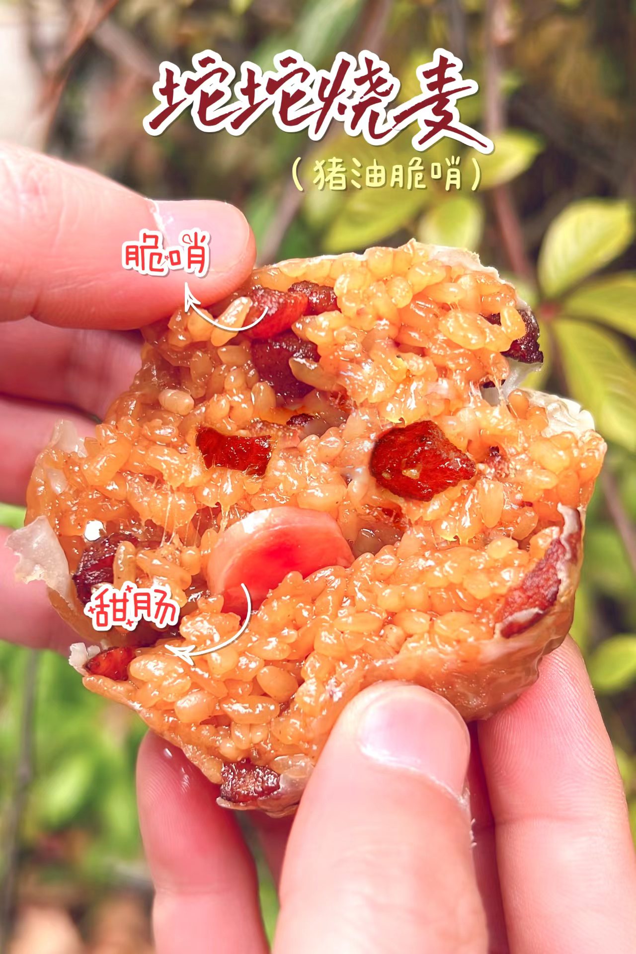 脆哨烧麦

4月7日开始发货