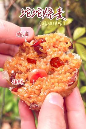 脆哨烧麦

4月7日开始发货