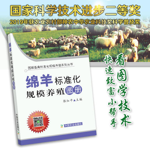 【官方正版】绵羊标准化规模养殖图册 畜禽标准养殖 规模养殖 畜禽养殖 养殖技术 养殖科技 养殖户 绵羊 羊 山羊 商品图0
