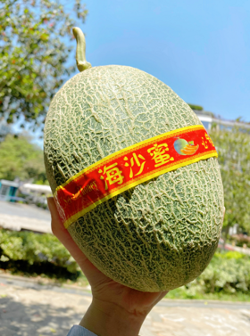 【八方】海南哈密瓜