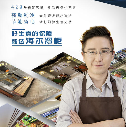 海尔（Haier）冷柜BC/BD-429HCM变温柜 商品图1