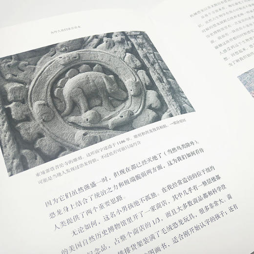 为什么我们迷恋恐龙 商品图2