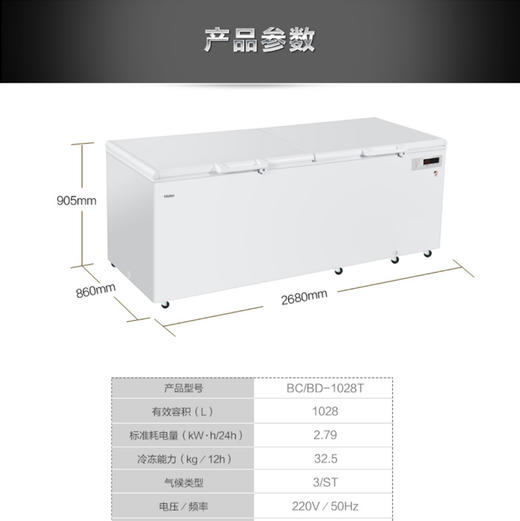 海尔（Haier）冷柜BC/BD-1028T变温柜 商品图9