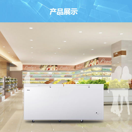 海尔（Haier）冷柜BC/BD-719HEZ变温柜 商品图8