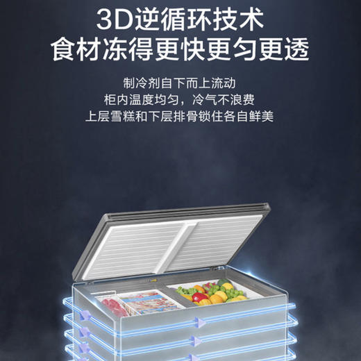 海尔（Haier）冷柜FCD-251LHKPT双温柜 商品图7