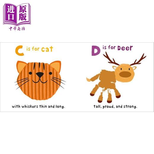 【中商原版】Roger Priddy See Touch Feel ABC 启蒙感觉ABC 低幼儿童早教绘本 英文原版 进口图书 幼教纸板书 商品图3