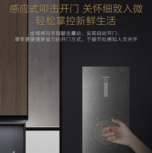 卡萨帝（Casarte）冷柜BD-331WEGAU1冷冻柜 商品图2