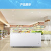 海尔（Haier）冷柜BC/BD-629HEZ变温柜 商品缩略图8