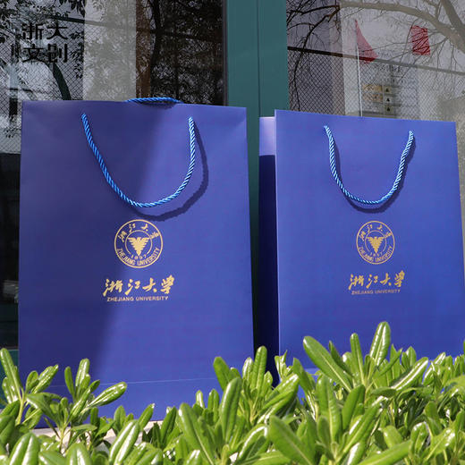 【浙大文创】浙江大学标准办公用品纸袋手提袋蓝色 商品图1