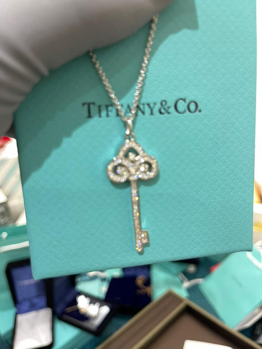 蒂夫尼鸢尾花项链-白金 商品图0