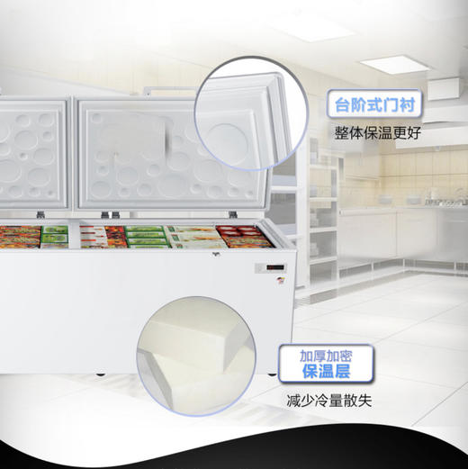 海尔（Haier）冷柜BC/BD-1028T变温柜 商品图5