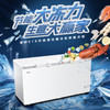海尔（Haier）冷柜BC/BD-519HCM变温柜 商品缩略图0
