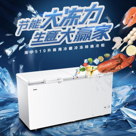 海尔（Haier）冷柜BC/BD-519HCM变温柜 商品图0