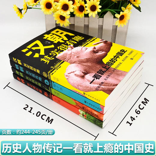 汉朝其实很有趣+唐朝其实很有趣+清朝其实很有趣+明朝其实很有趣 一读就上瘾的中国史一看就停不下来的中国史明朝那些事儿 历史书 商品图1