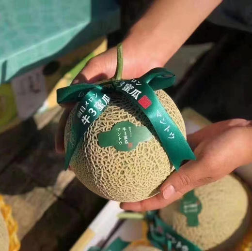 蜜纹牛3蜜瓜 商品图13