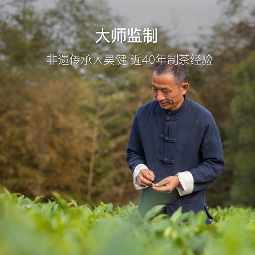 【双春隆】2017年白牡丹50g/盒-白茶非遗传承人吴健监制 商品图3