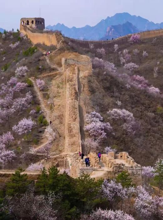 【长城亲子二日营】【大城小匠】—古北蟠龙长城，国歌中的长城 商品图6