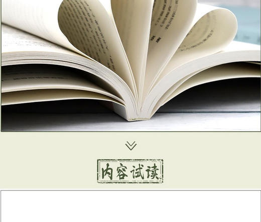 【优惠套装】林徽因作品集全3册 你若安好便是晴天+你是那人间四月天+爱上一座城青春情感散文小说诗歌励志中国现当代经典文学随笔林徽因的书籍 商品图4