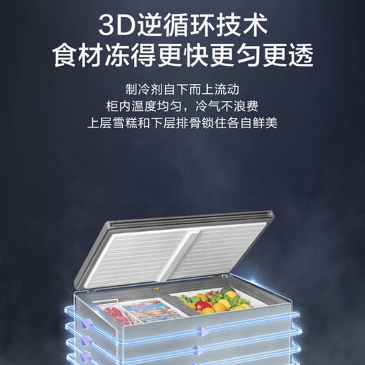 海尔（Haier）冷柜FCD-221LHKPT双温柜 商品图7