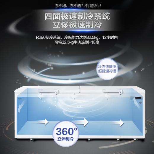 海尔（Haier）冷柜BC/BD-1028T变温柜 商品图2