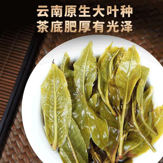 第2份半价！2022春茶易武古茶落水洞生茶饼357g/饼 商品图4