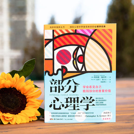 【心如健】海蓝博士推荐 部分心理学正版 理查德施沃茨著 学会看见自己脆弱部分的重要价值 把我们内心的焦虑变成生命的奇迹情绪疗愈心理 商品图1