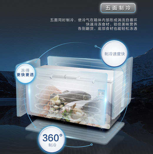 海尔（Haier）冷柜BC/BD-429HCM变温柜 商品图2