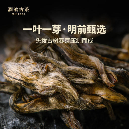 澜沧古茶2022年景迈001全家福普洱生茶+景迈001观山套杯 商品图2
