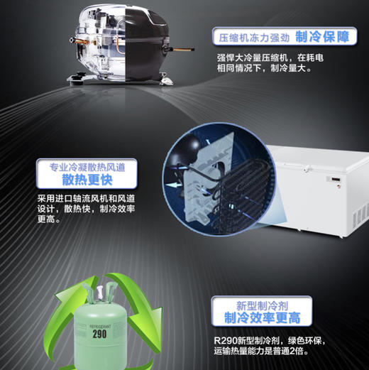 海尔（Haier）冷柜BC/BD-1028T变温柜 商品图3