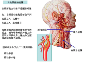 脖子上的这个穴，不要摁！ 
