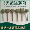猫薄荷棒棒糖猫咪零食化毛磨牙洁齿猫薄荷逗猫棒清新口气猫薄荷球 商品缩略图0