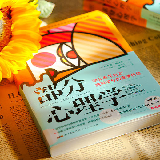 【心如健】海蓝博士推荐 部分心理学正版 理查德施沃茨著 学会看见自己脆弱部分的重要价值 把我们内心的焦虑变成生命的奇迹情绪疗愈心理 商品图2