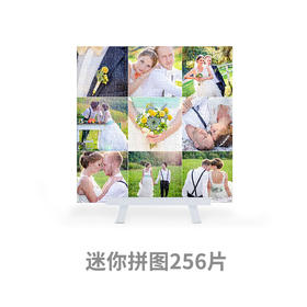 CM1019 256片多片迷你拼图 3d-jp客制拼图(客照)