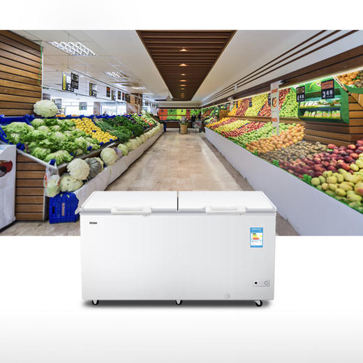 海尔（Haier）冷柜BC/BD-519HCM变温柜 商品图11