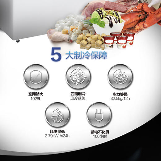 海尔（Haier）冷柜BC/BD-1028T变温柜 商品图1